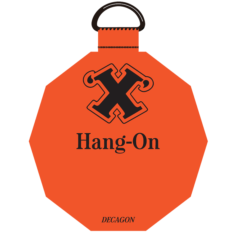 Decagon Adhesive Wall Hanger