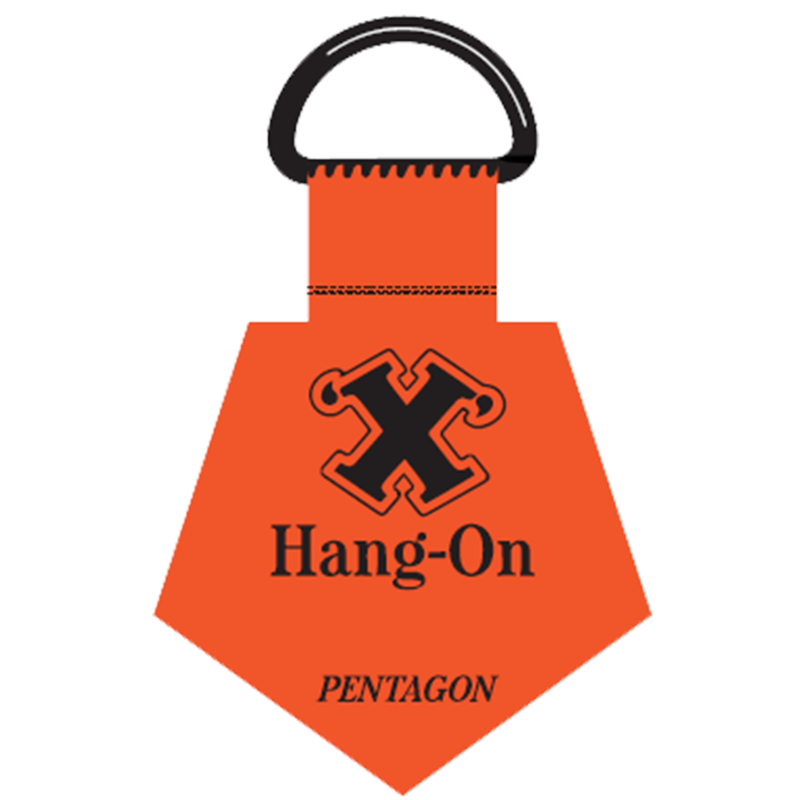 Pentagon Adhesive Wall Hanger